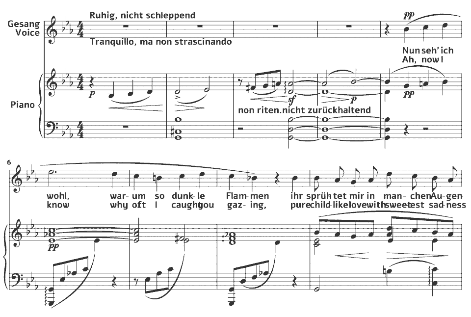 Die ersten Takte von Kindertotenlieder: warum so dunkle Flammen Nun seh’ ich wohl von Gustav Mahler in Notenschrift.